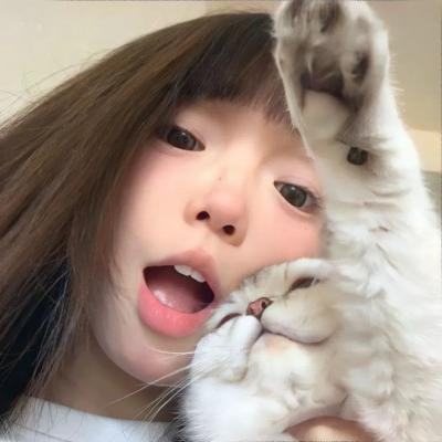 我家来了个小房客